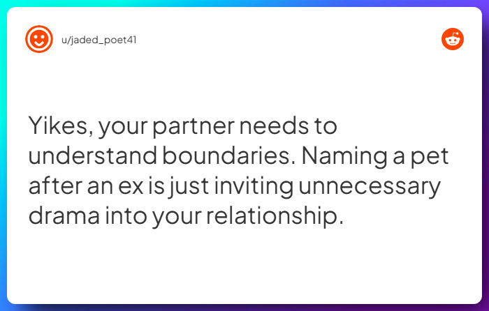 Comment from u/jaded_poet41