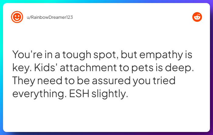 Comment from u/RainbowDreamer123