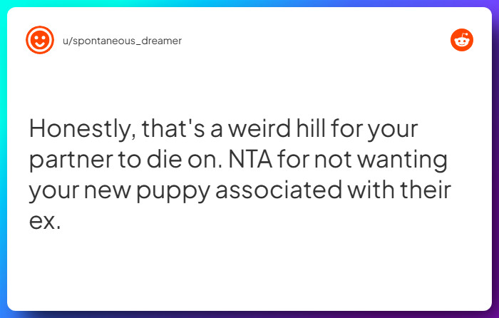 Comment from u/spontaneous_dreamer