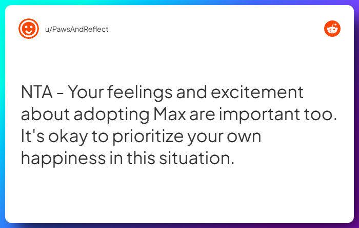 Comment from u/PawsAndReflect