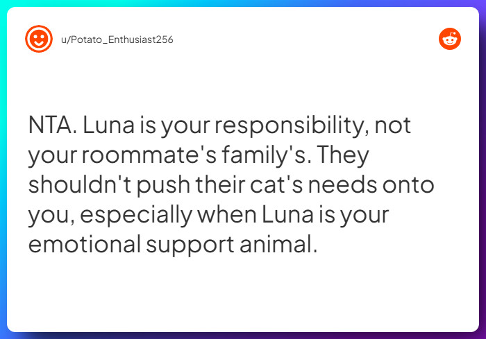 Comment from u/Potato_Enthusiast256