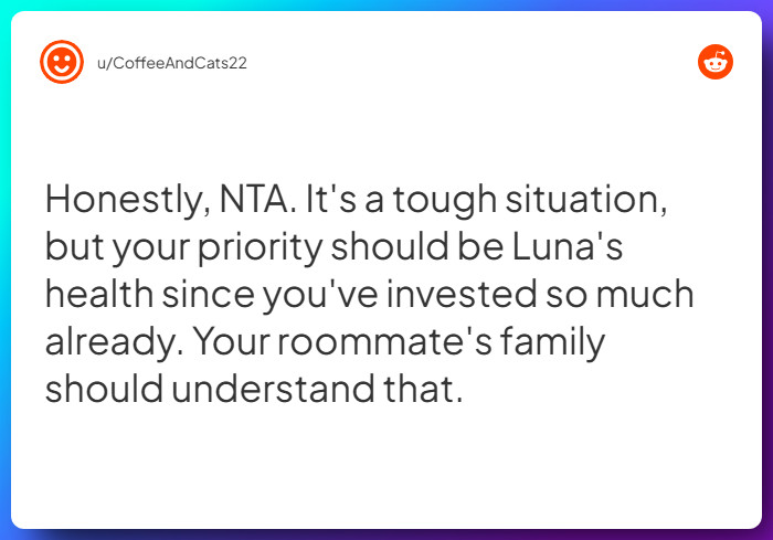 Comment from u/CoffeeAndCats22