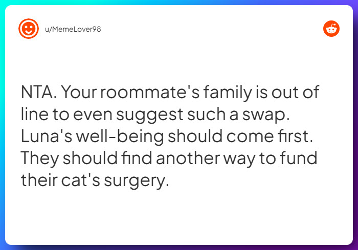 Comment from u/MemeLover98