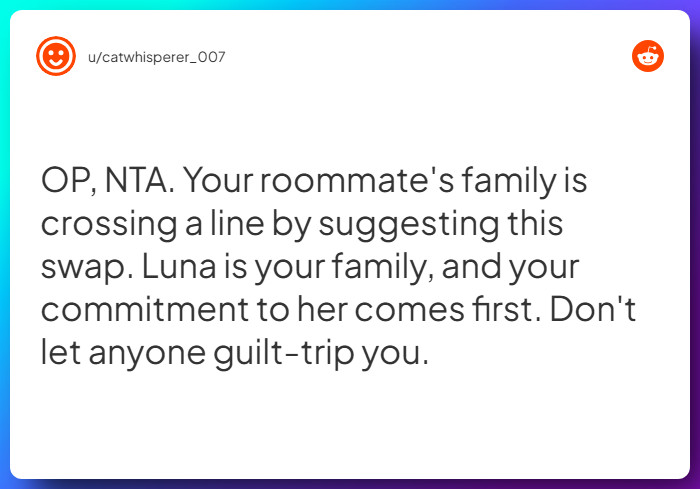 Comment from u/catwhisperer_007