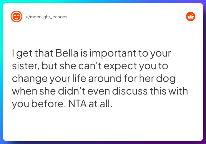 Comment from u/moonlight_echoes