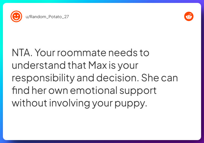 Comment from u/Random_Potato_27