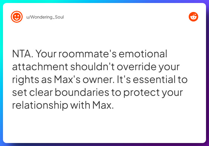 Comment from u/Wondering_Soul