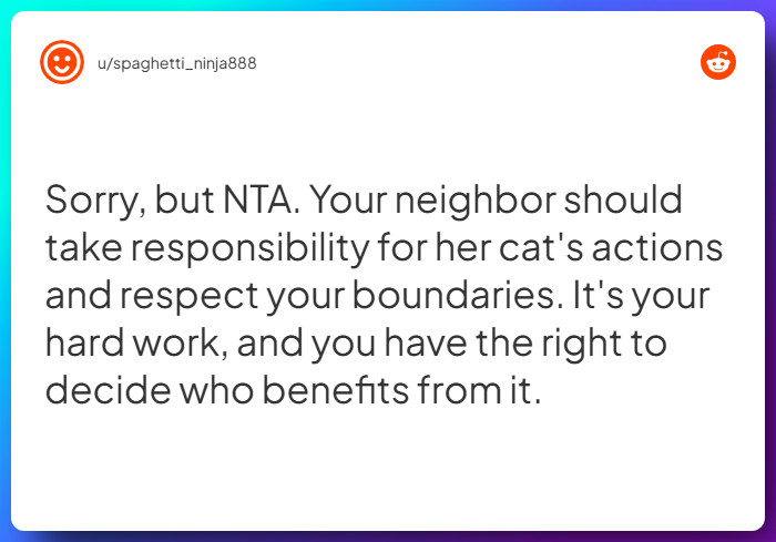 Comment from u/spaghetti_ninja888