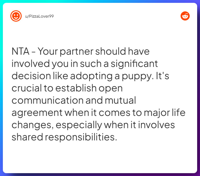 Comment from u/PizzaLover99