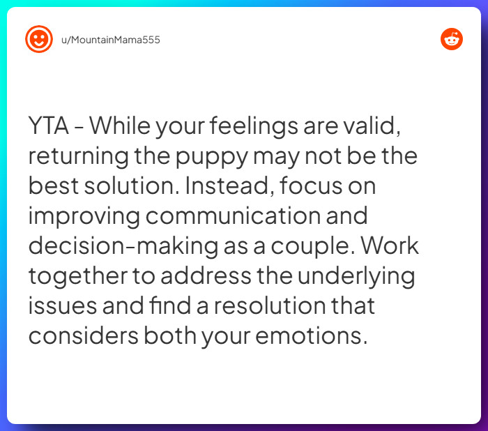 Comment from u/MountainMama555