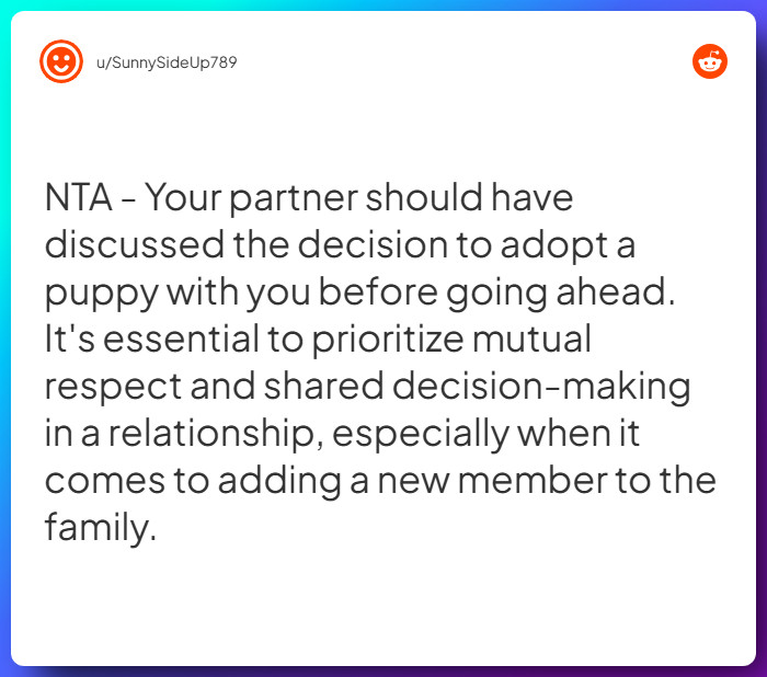 Comment from u/SunnySideUp789