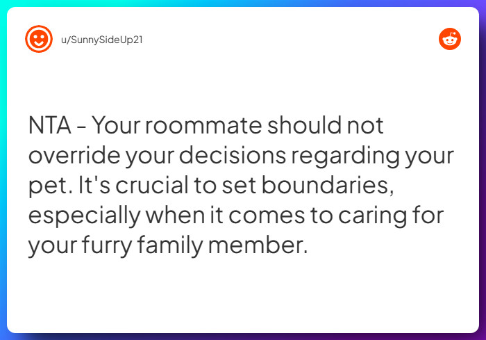 Comment from u/SunnySideUp21