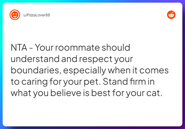 Comment from u/PizzaLover88