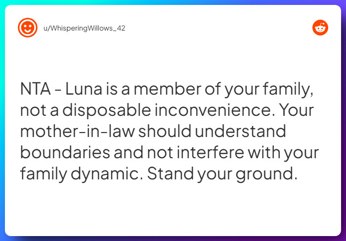 Comment from u/WhisperingWillows_42