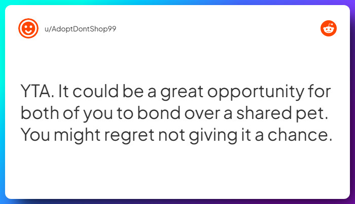 Comment from u/AdoptDontShop99