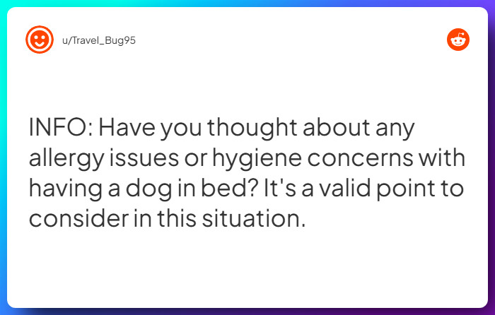 Comment from u/Travel_Bug95