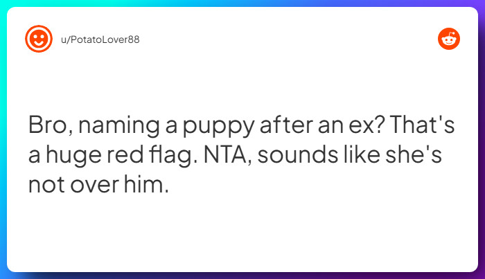 Comment from u/PotatoLover88