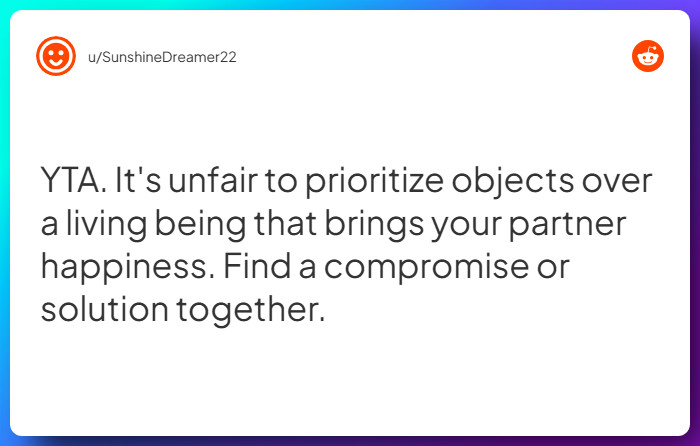 Comment from u/SunshineDreamer22