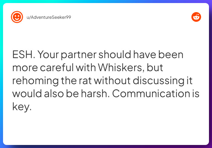 Comment from u/AdventureSeeker99