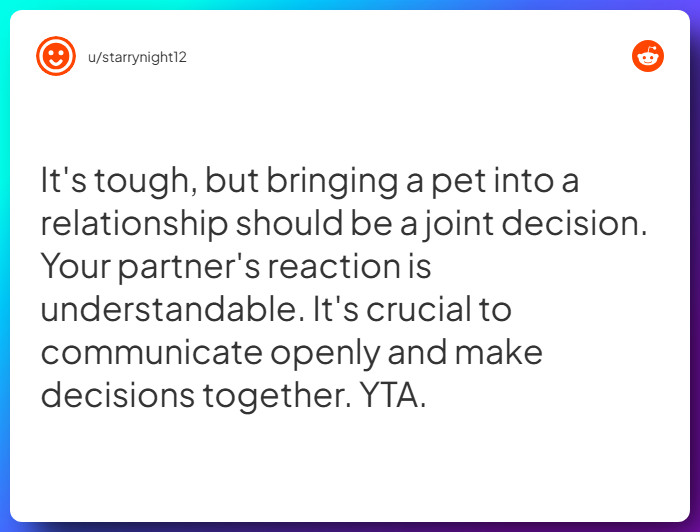 Comment from u/starrynight12