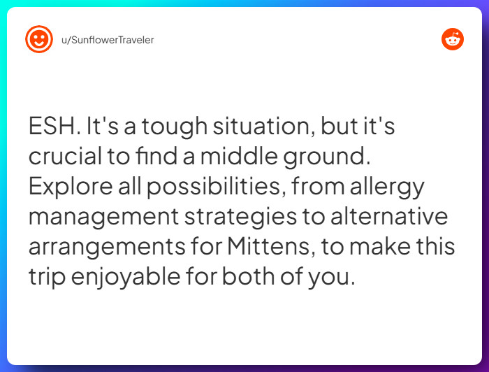 Comment from u/SunflowerTraveler