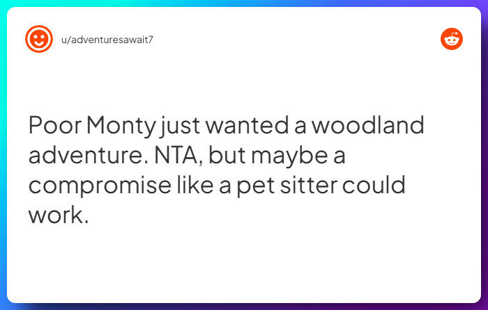 Comment from u/adventuresawait7