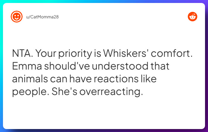 Comment from u/CatMomma28