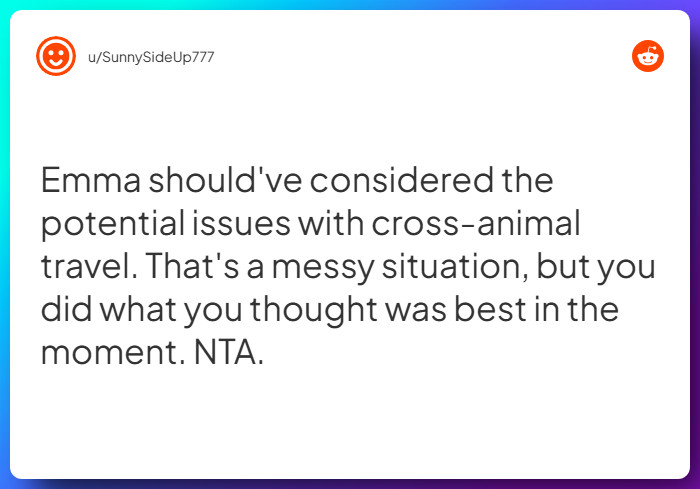 Comment from u/SunnySideUp777