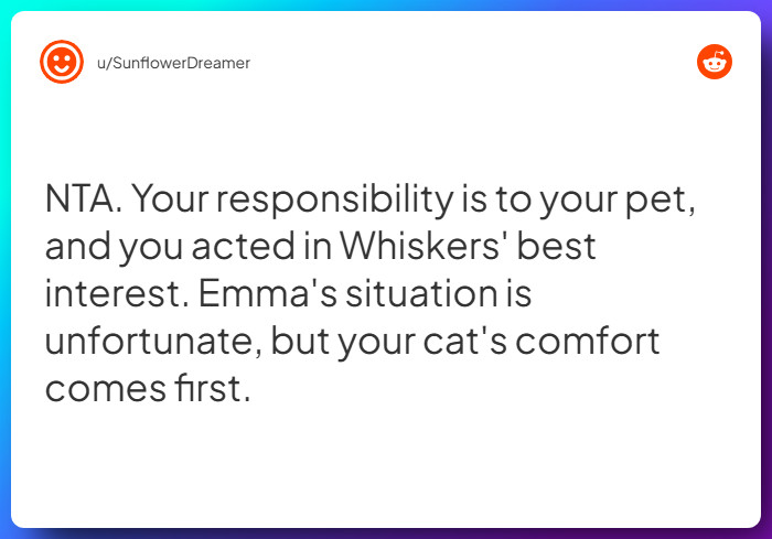 Comment from u/SunflowerDreamer