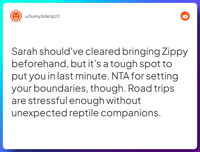 Comment from u/SunnySideUp23