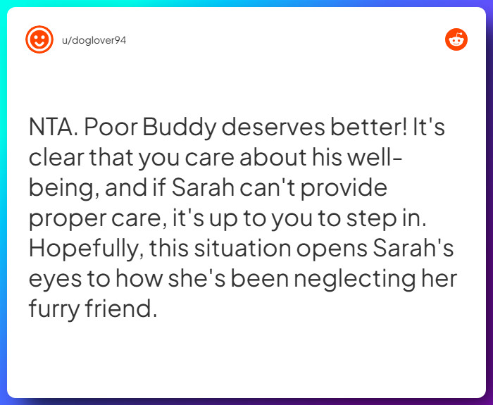 Comment from u/doglover94