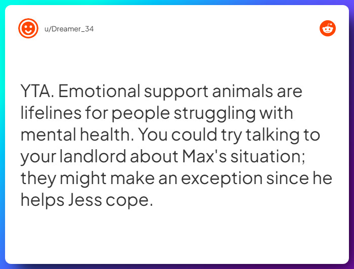 Comment from u/Dreamer_34