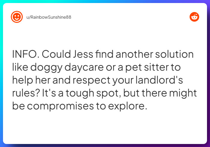 Comment from u/RainbowSunshine88