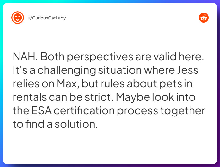 Comment from u/CuriousCatLady