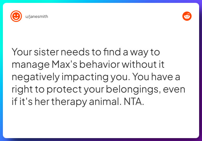 Comment from u/janesmith