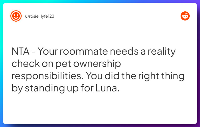 Comment from u/rosie_lyfe123