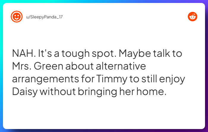 Comment from u/SleepyPanda_17