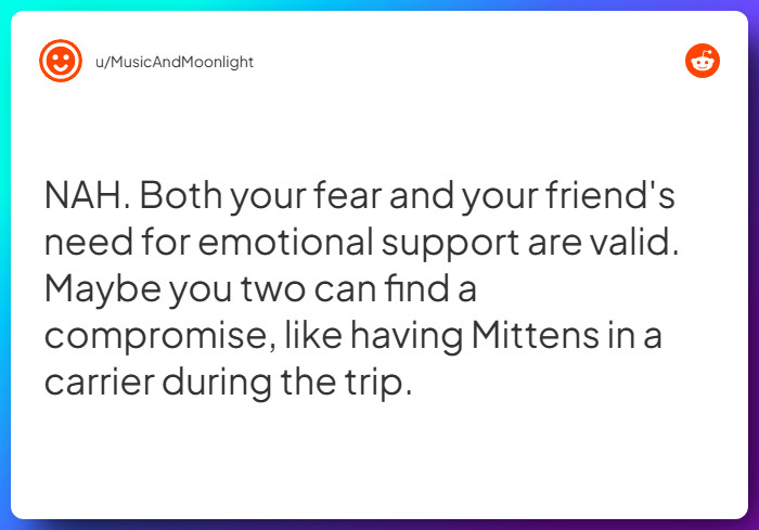 Comment from u/MusicAndMoonlight