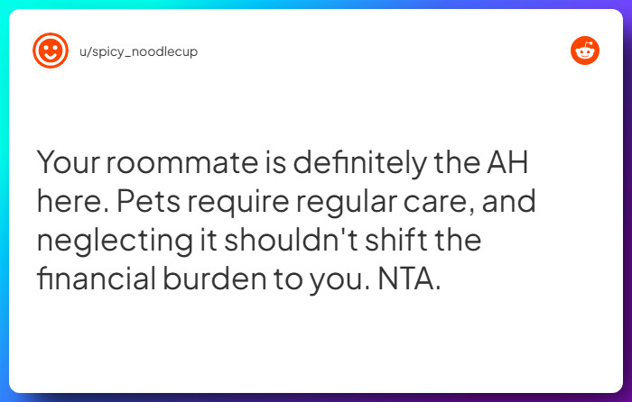 Comment from u/spicy_noodlecup