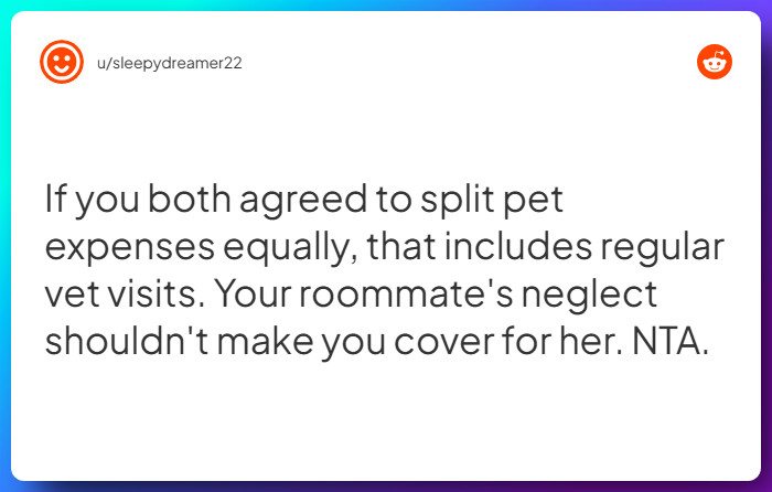 Comment from u/sleepydreamer22