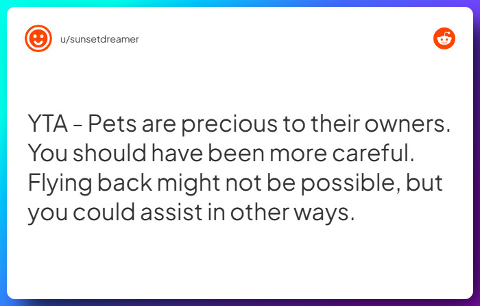 Comment from u/sunsetdreamer