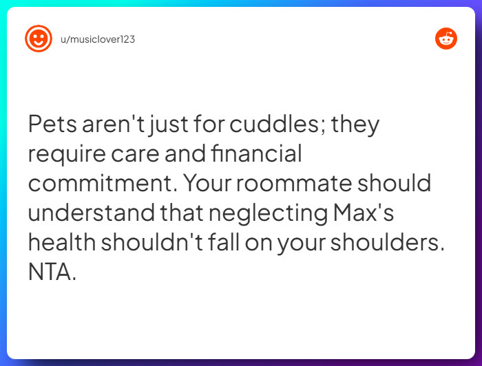 Comment from u/musiclover123