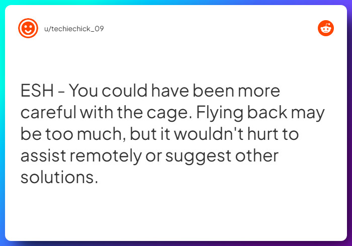 Comment from u/techiechick_09