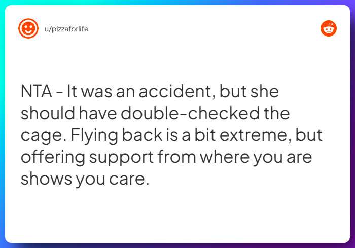 Comment from u/pizzaforlife