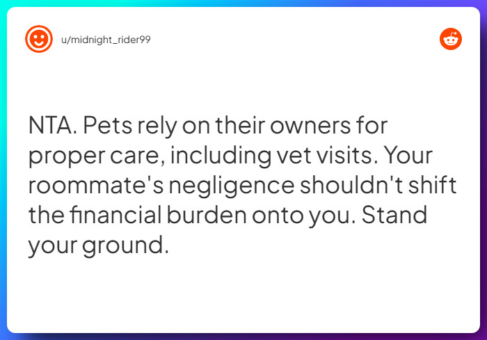 Comment from u/midnight_rider99