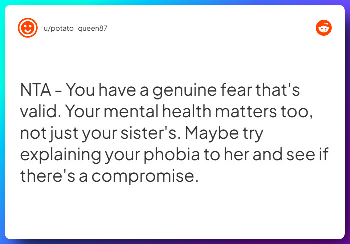 Comment from u/potato_queen87