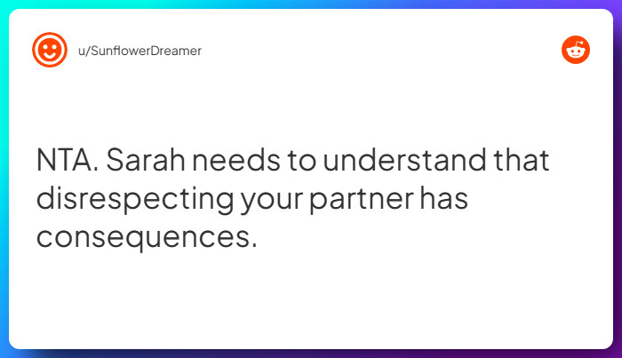 Comment from u/SunflowerDreamer