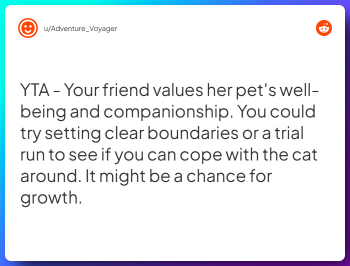 Comment from u/Adventure_Voyager