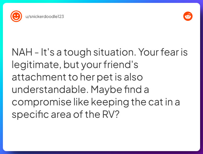 Comment from u/snickerdoodle123