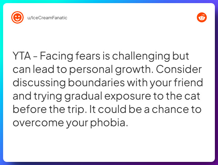 Comment from u/IceCreamFanatic